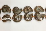 CMM10 15.5 inches 30*40mm - 35*45mm carved ammonite gemstone beads