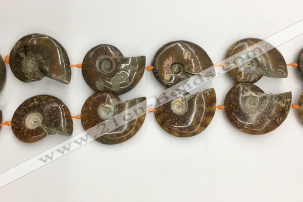 CMM10 15.5 inches 30*40mm - 35*45mm carved ammonite gemstone beads