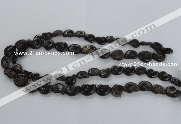 CMM50 15.5 inches 10*14mm - 12*16mm ammonite gemstone beads