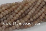 CMS01 15.5 inches 4mm round moonstone gemstone beads wholesale