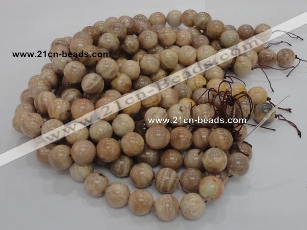 CMS04 15.5 inches 18mm round moonstone gemstone beads wholesale