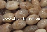 CMS07 15.5 inches 10*14mm rice moonstone gemstone beads wholesale