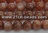 CMS1002 15.5 inches 8mm round AA grade moonstone gemstone beads