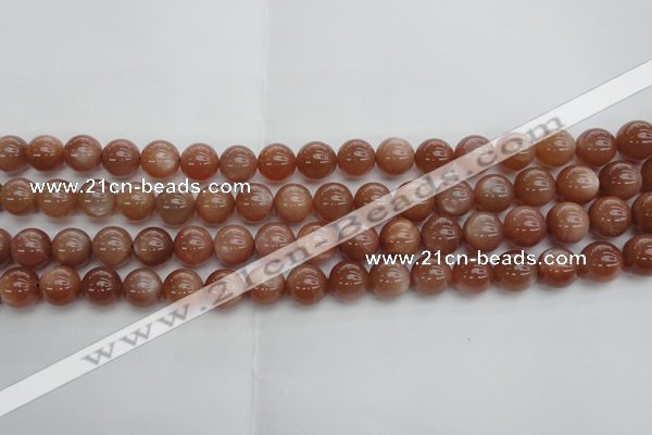 CMS1003 15.5 inches 10mm round AA grade moonstone gemstone beads