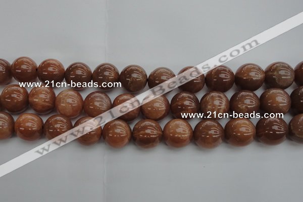 CMS1006 15.5 inches 16mm round AA grade moonstone gemstone beads