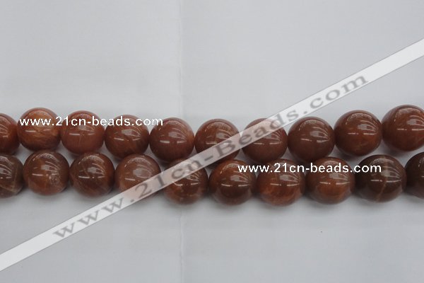 CMS1007 15.5 inches 18mm round AA grade moonstone gemstone beads