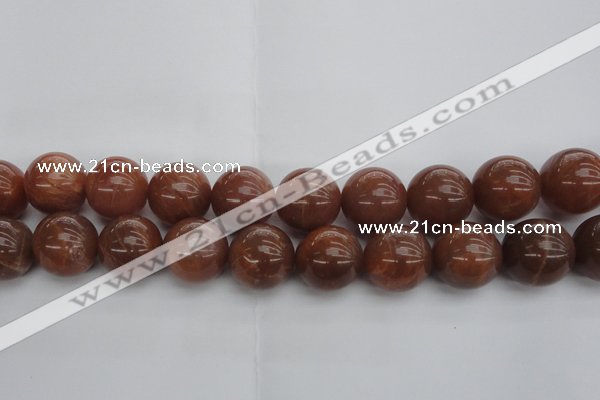 CMS1008 15.5 inches 20mm round AA grade moonstone gemstone beads