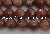 CMS1012 15.5 inches 8mm faceted round AA grade moonstone beads