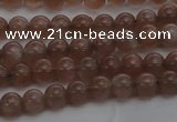 CMS1020 15.5 inches 4mm round AA grade moonstone gemstone beads