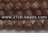 CMS1022 15.5 inches 8mm round AA grade moonstone gemstone beads