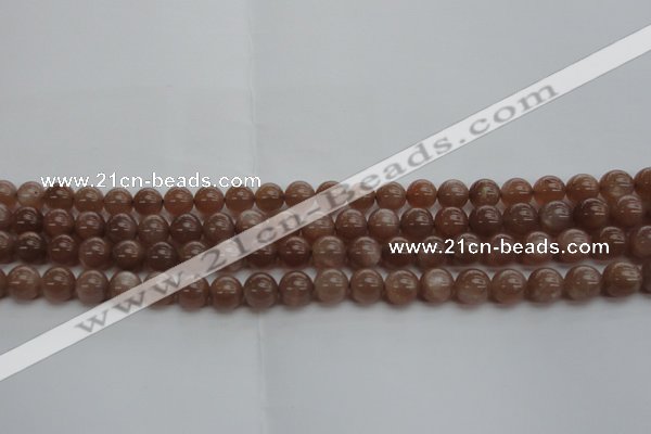 CMS1022 15.5 inches 8mm round AA grade moonstone gemstone beads