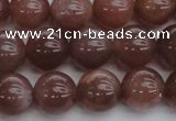 CMS1023 15.5 inches 10mm round AA grade moonstone gemstone beads