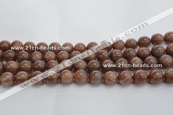 CMS1025 15.5 inches 14mm round AA grade moonstone gemstone beads