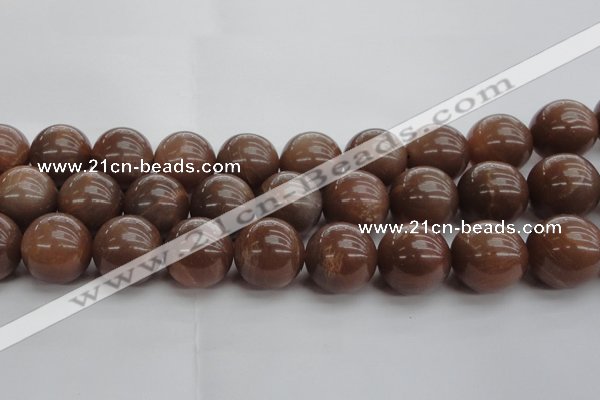 CMS1028 15.5 inches 20mm round AA grade moonstone gemstone beads