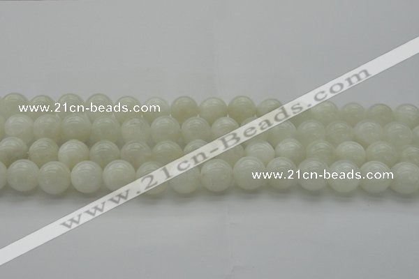 CMS1032 15.5 inches 8mm round A grade white moonstone beads