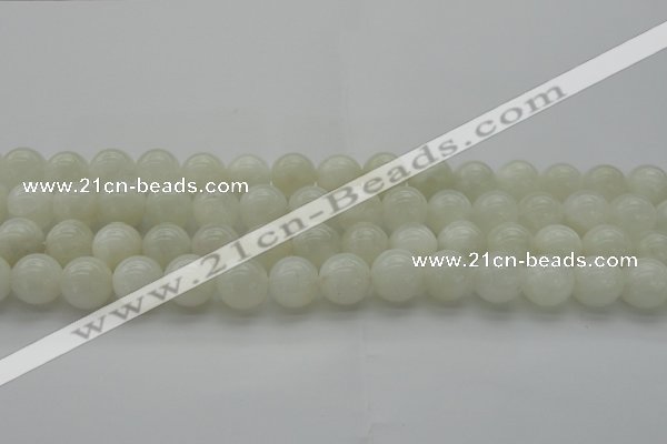 CMS1035 15.5 inches 14mm round A grade white moonstone beads