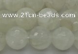 CMS1045 15.5 inches 14mm faceted round A grade white moonstone beads