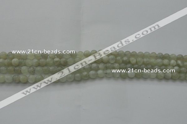 CMS1051 15.5 inches 6mm round grey moonstone beads wholesale