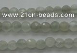 CMS1054 15.5 inches 4mm faceted round grey moonstone beads wholesale