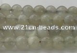 CMS1057 15.5 inches 6mm round grey moonstone beads wholesale