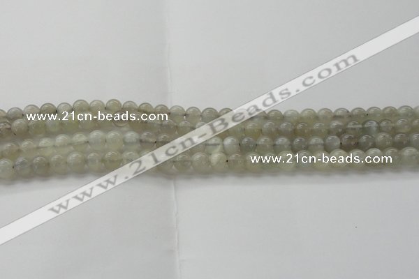 CMS1057 15.5 inches 6mm round grey moonstone beads wholesale