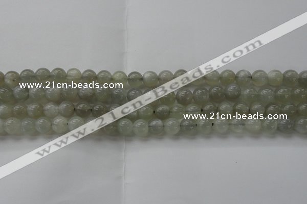 CMS1058 15.5 inches 8mm round grey moonstone beads wholesale