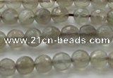 CMS1060 15.5 inches 6mm faceted round grey moonstone beads wholesale