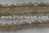 CMS1063 15.5 inches 4mm round grey moonstone beads wholesale