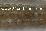 CMS1064 15.5 inches 6mm round grey moonstone beads wholesale