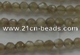 CMS1066 15.5 inches 4mm faceted round grey moonstone beads wholesale