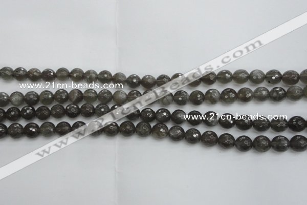 CMS1075 15.5 inches 6mm faceted round grey moonstone beads wholesale