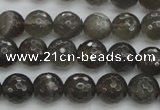 CMS1076 15.5 inches 8mm faceted round grey moonstone beads wholesale