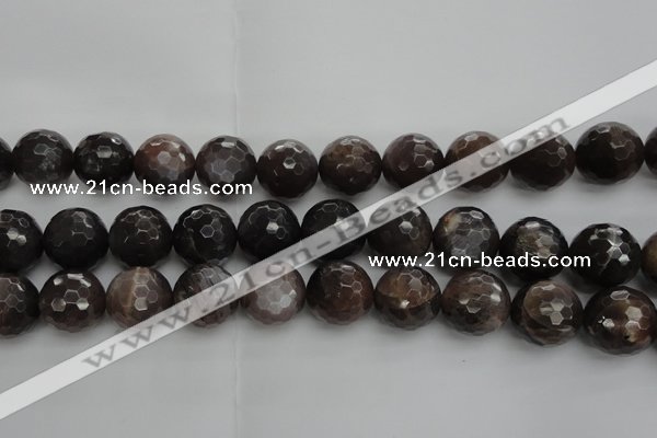 CMS1079 15.5 inches 14mm faceted round grey moonstone beads wholesale