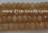 CMS1090 15.5 inches 4*6mm faceted rondelle moonstone beads