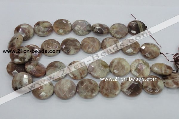 CMS114 15.5 inches 25mm faceted coin moonstone gemstone beads