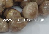 CMS12 15.5 inches 16*20mm teardrop moonstone gemstone beads wholesale