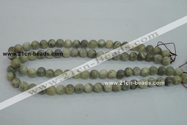 CMS121 15.5 inches 10mm round moonstone gemstone beads wholesale