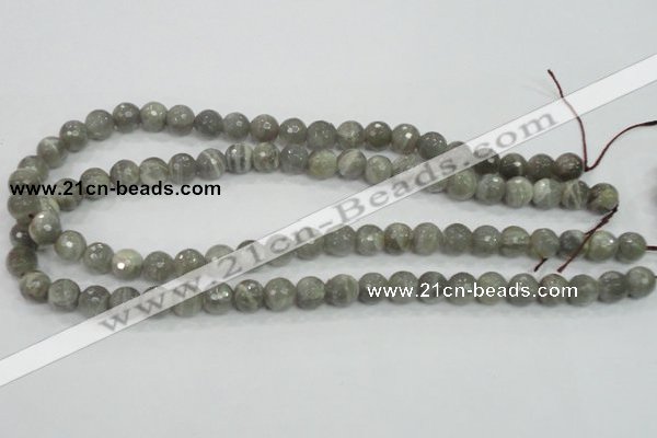 CMS124 15.5 inches 10mm faceted round moonstone gemstone beads