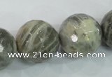 CMS127 15.5 inches 20mm faceted round moonstone gemstone beads