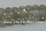 CMS129 15.5 inches 8mm faceted coin moonstone gemstone beads