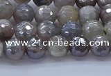 CMS1311 15.5 inches 6mm faceted round AB-color grey moonstone beads