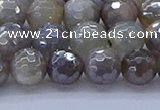 CMS1312 15.5 inches 8mm faceted round AB-color grey moonstone beads