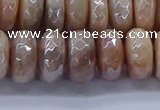 CMS1324 15.5 inches 7*12mm faceted rondelle AB-color moonstone beads