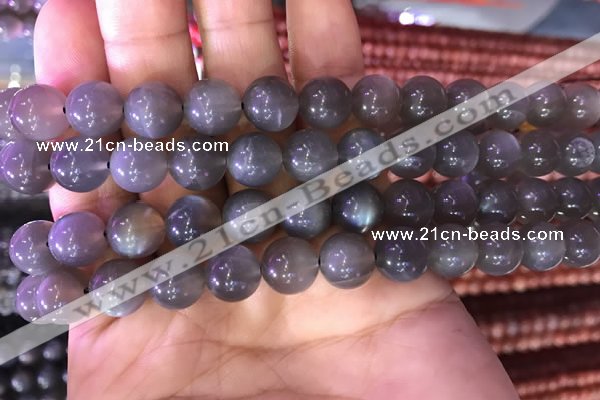 CMS1422 15.5 inches 8mm round black moonstone beads wholesale