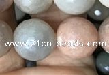 CMS1459 15.5 inches 12mm faceted round AB-color moonstone beads