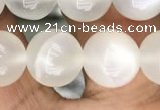 CMS1463 15.5 inches 10mm round white moonstone beads wholesale