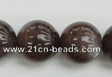 CMS147 15.5 inches 14mm round natural grey moonstone beads