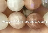 CMS1472 15.5 inches 10mm faceted round moonstone beads wholesale