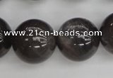 CMS148 15.5 inches 14mm round natural grey moonstone beads