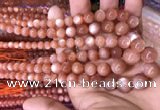 CMS1482 15.5 inches 4mm - 12mm round golden moonstone graduated beads